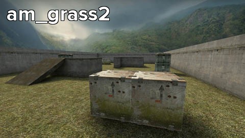 am_grass2