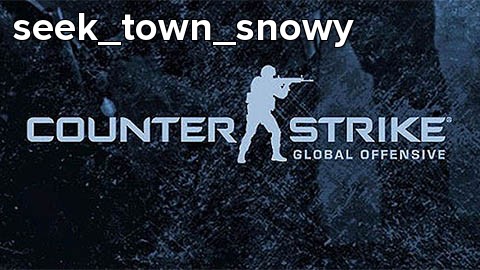 seek_town_snowy